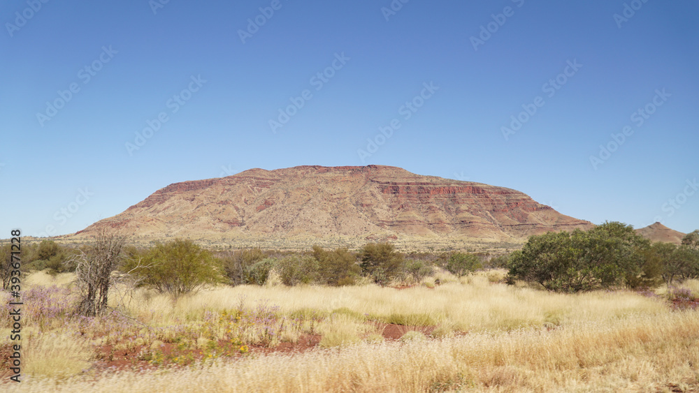 Arid dry red rock landscapes at Dales Gorge within Karijini National Park in the Hamersley Range of Western Australia.