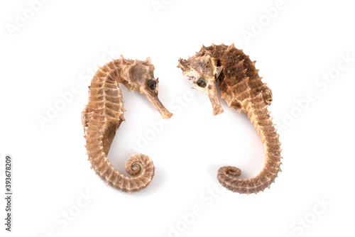 Dry seahorse isolated on a black background