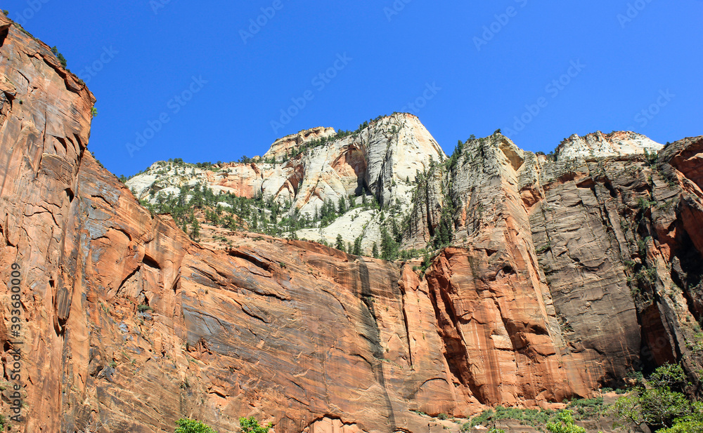Fototapeta premium Zion