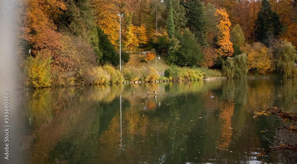 Fototapeta premium Teich im herbstlichen bunten Look
