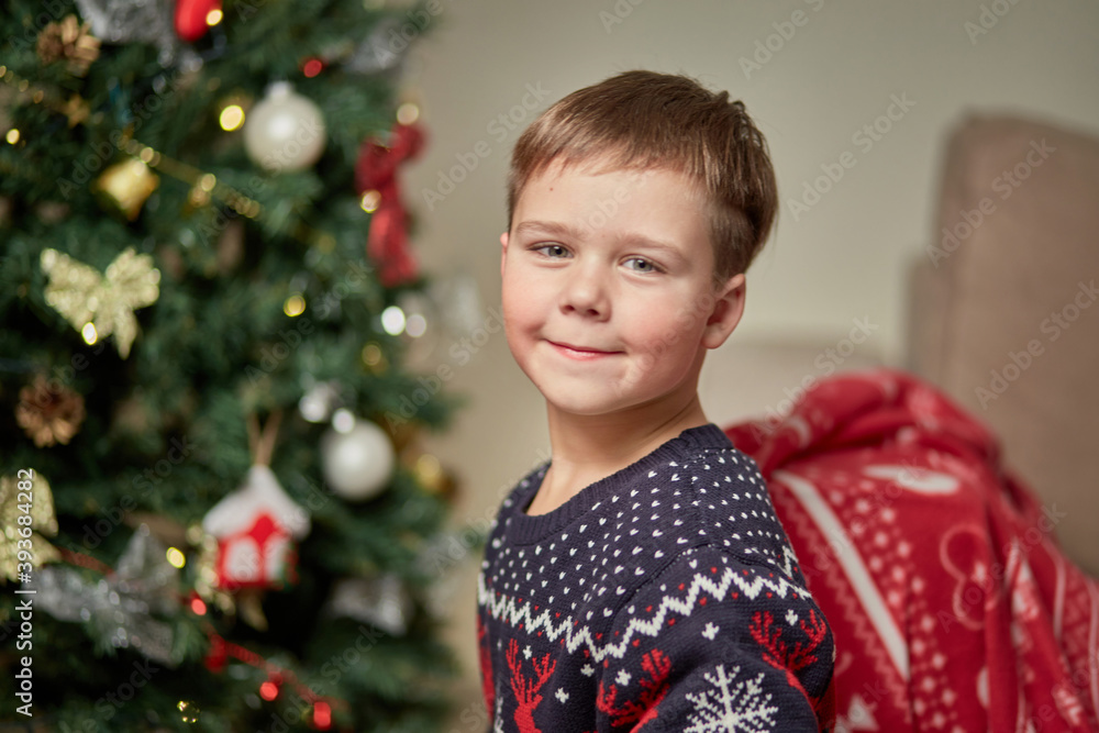 Portrait of a cute boy on the background of a Christmas tree. Looks at the camera. Next to the sofa is decorated with a red blanket. New year and Christmas celebrations. Portrait of a cute boy on the background of a Christmas tree. Looks at the camera. Next to the sofa is decorated with a red blanket. New year and Christmas celebrations.
