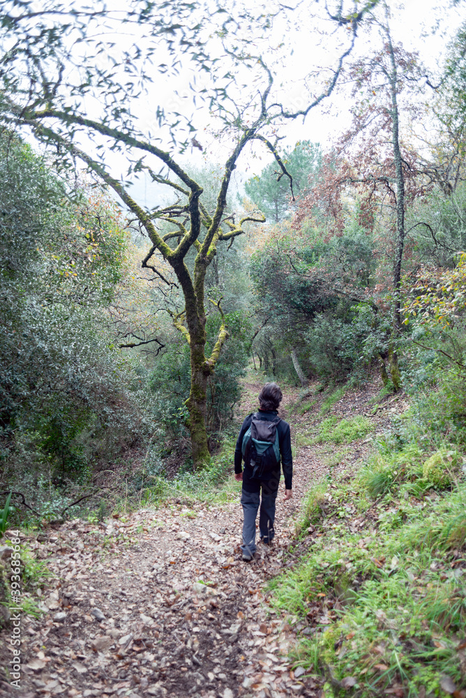 Hiker man walking alone in the autumn forest.