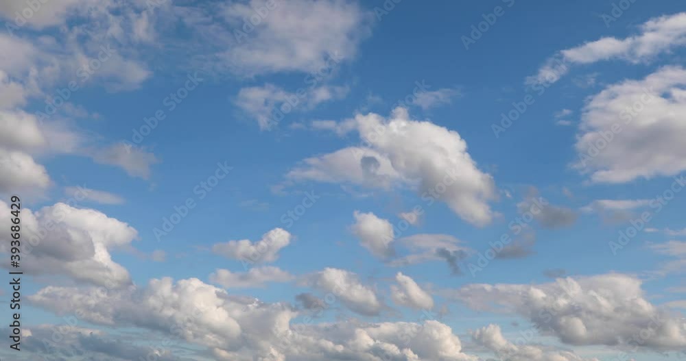 White clouds of different shapes and sizes fly in time lapse fashion over a vivid blue sky on a partly cloudy day in this one minute video with a looping fade at the end.