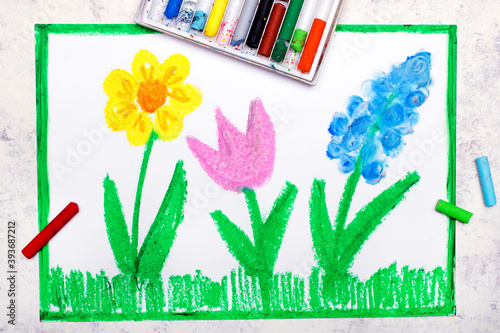 Colorful  drawing  spring meadow with beautiful flowers