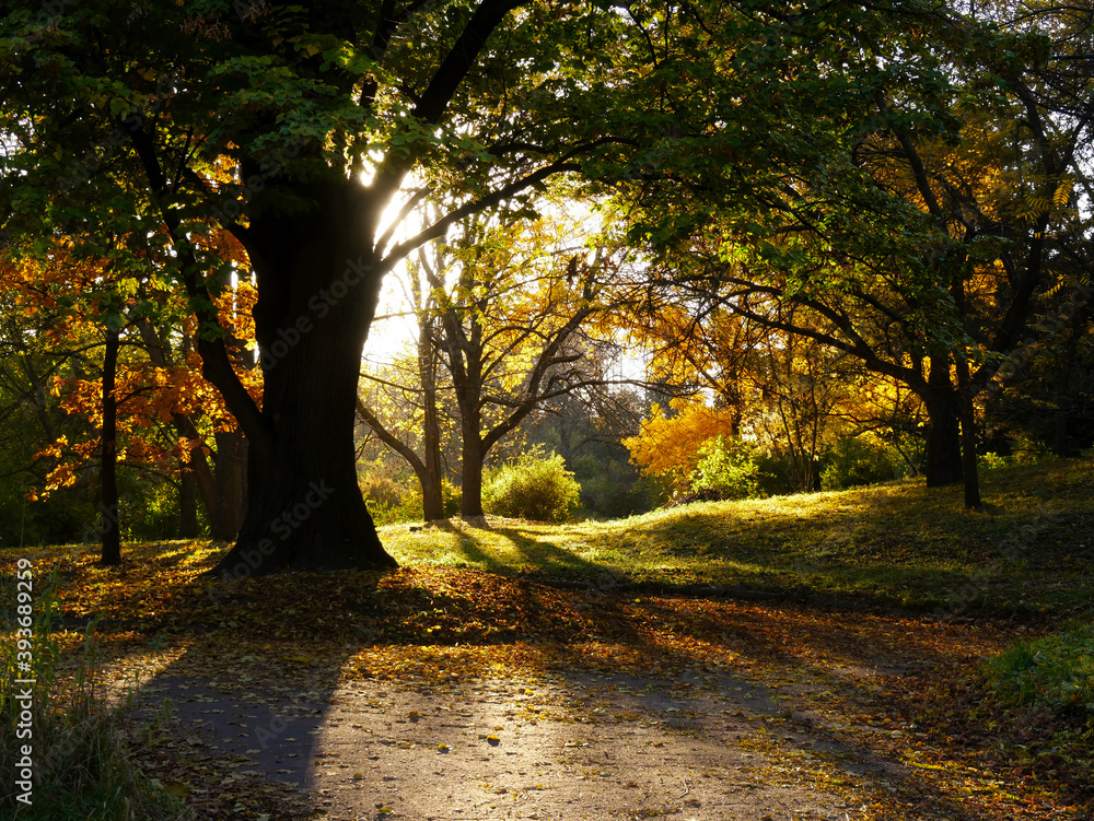 Fototapeta premium Nature and city in autumn colors