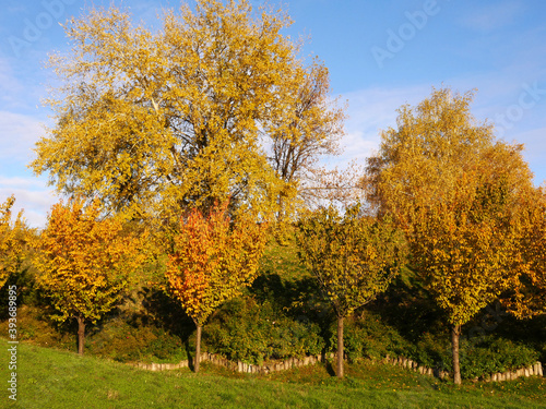 Nature and city in autumn colors