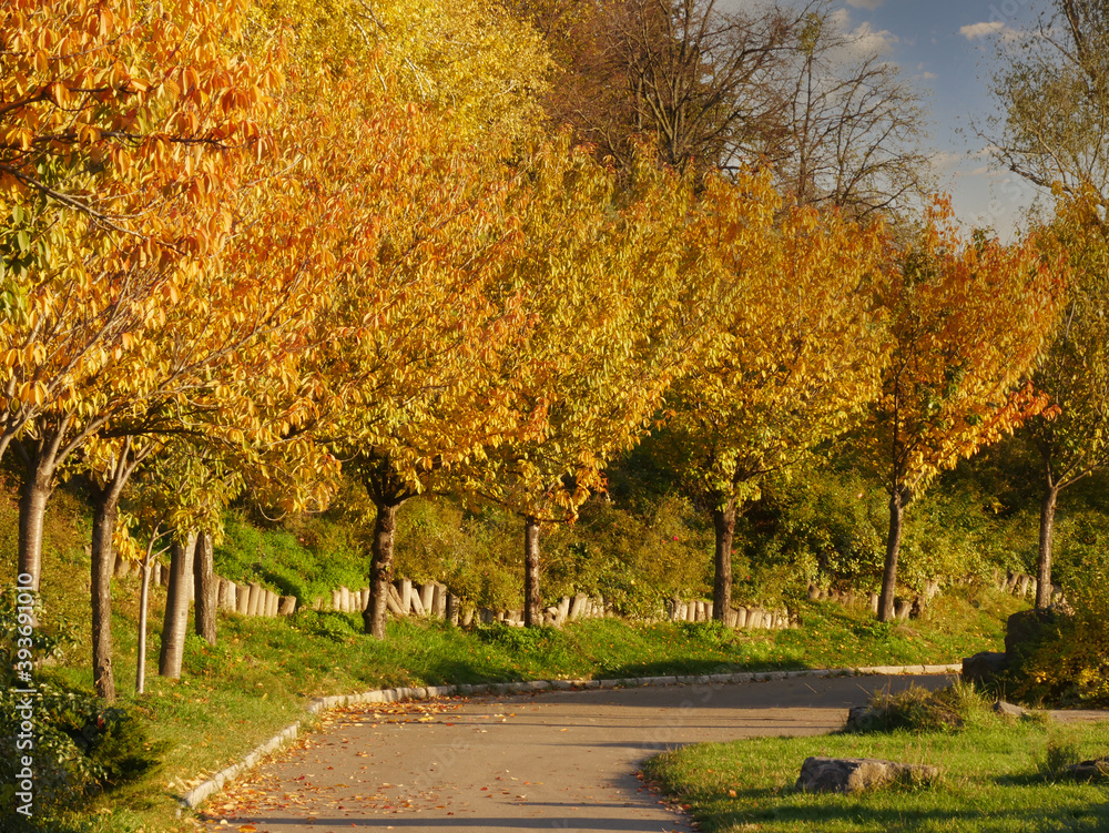 Fototapeta premium Nature and city in autumn colors
