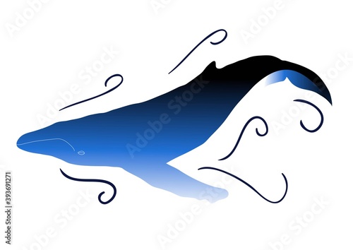Ballena jorobada