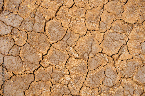 Arid soils under the scorching sun. World drought.