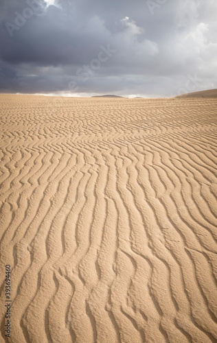 Sand dune with ripples  Fuerteventura Canary Islands