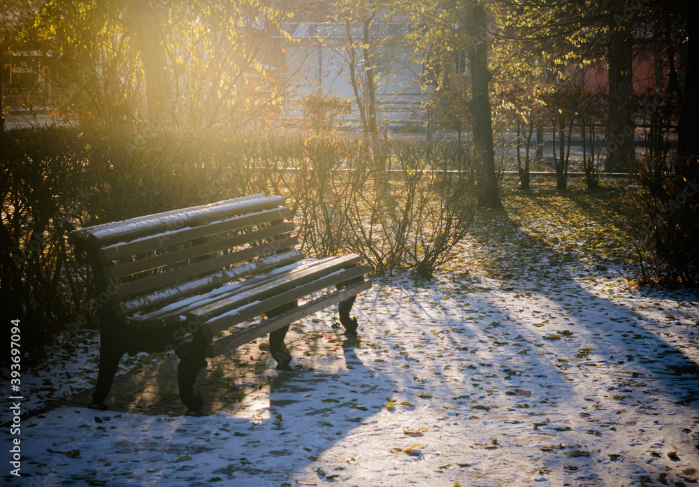 Park bench in winter on a Sunny day.Bright winter sun rays