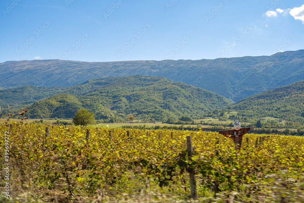 Naklejka premium Beautiful and quiet nature landscape.
