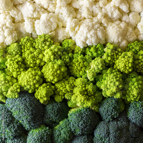 Broccoli, cauliflower and roman cauliflower. Fresh cabbage background. Green vegetable texture. Healthy vegetarian food. Vegan concept.