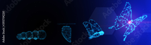 3D Illustration Innovation evolution butterfly for abstract concept of freedom develop future business technology leadership disrupt transform change innovation 5G fintech blockchain network growth