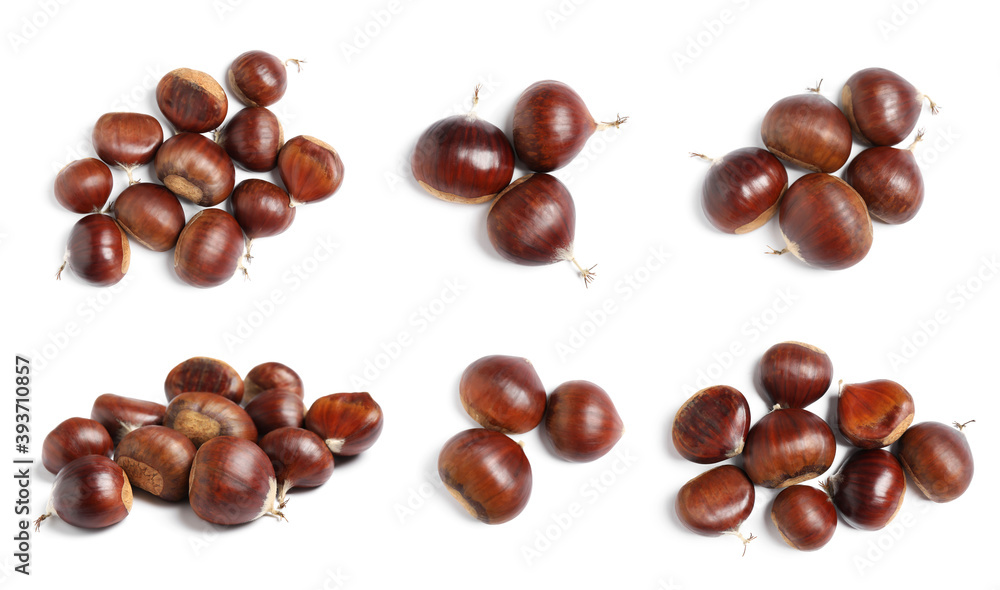 Set of sweet edible chestnuts on white background, top view Set of sweet edible chestnuts on white background, top view