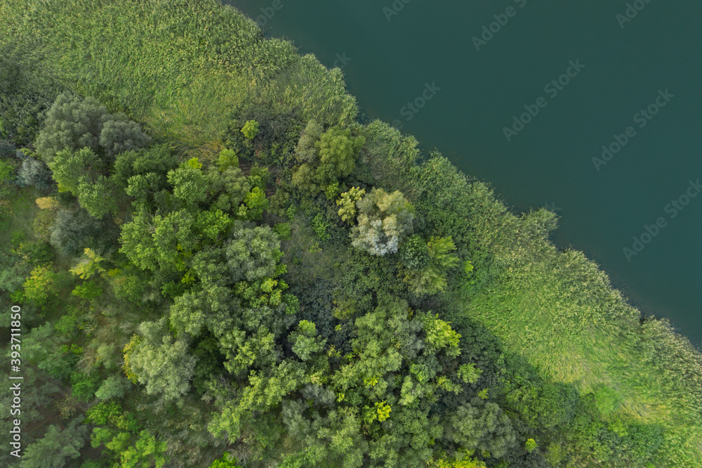 Beautiful aerial view of green forest near river in autumn Beautiful aerial view of green forest near river in autumn