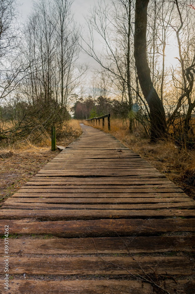 Pietzmoor in Schneverdingen Pietzmoor in Schneverdingen