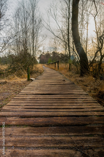 Pietzmoor in Schneverdingen