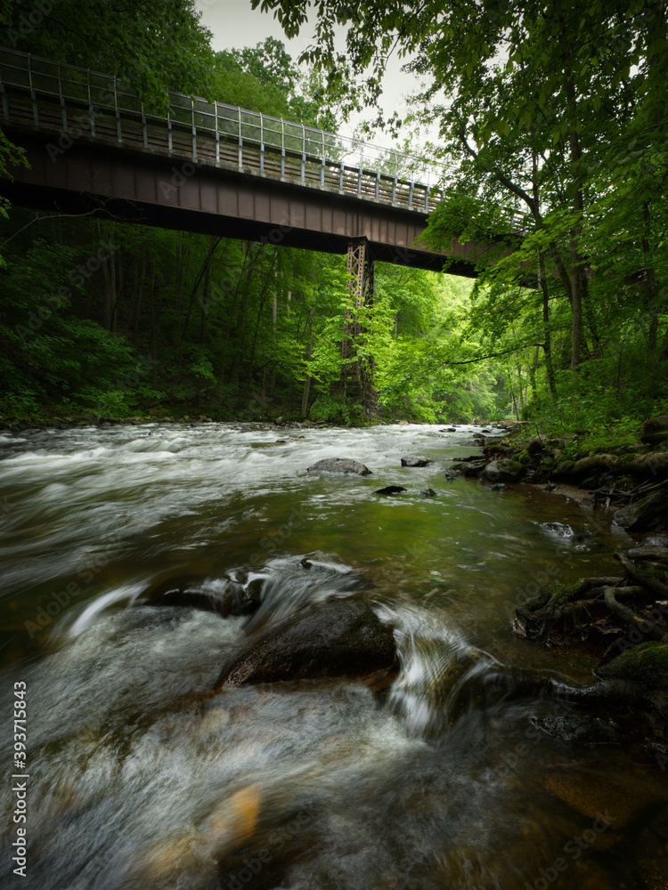 River flowing under a metal bridge inside a forest River flowing under a metal bridge inside a forest
