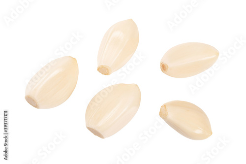 Set of agriculture Garlic isolated on white background.