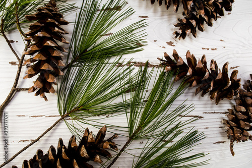 Rustic pine and pinecones