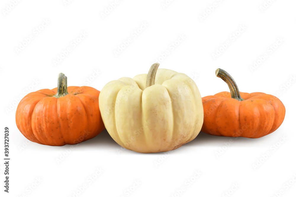 Pumpkins on White Background with Clipping Path Pumpkins on White Background with Clipping Path