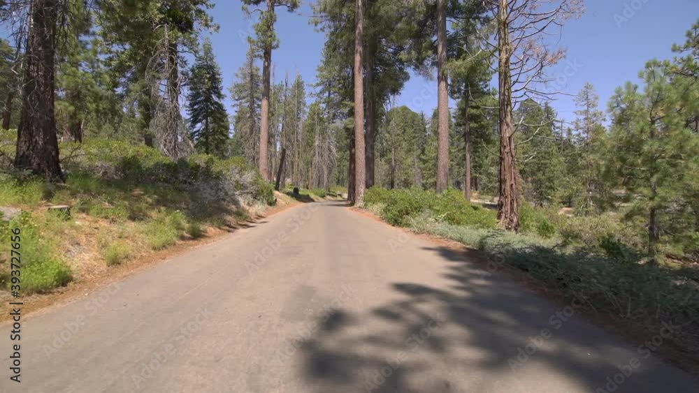 Sequoia National Park Driving Plate Crescent Meadow Rd Eastbound 07 Sequoia Forest In Sierra Nevada Mts California Sequoia National Park Driving Plate Crescent Meadow Rd Eastbound 07 Sequoia Forest In Sierra Nevada Mts California