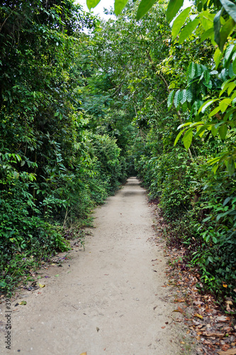 Trail at "Bosque da Freguesia" (Freguesia Forest Public Park)