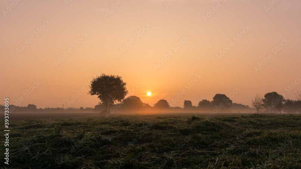 Sun rises over a fresh mowed meadow with tree and fog Sun rises over a fresh mowed meadow with tree and fog