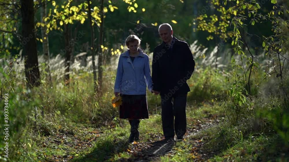 happy elderly man and woman are strolling together in forest at early autumn, sunny and warm weather happy elderly man and woman are strolling together in forest at early autumn, sunny and warm weather