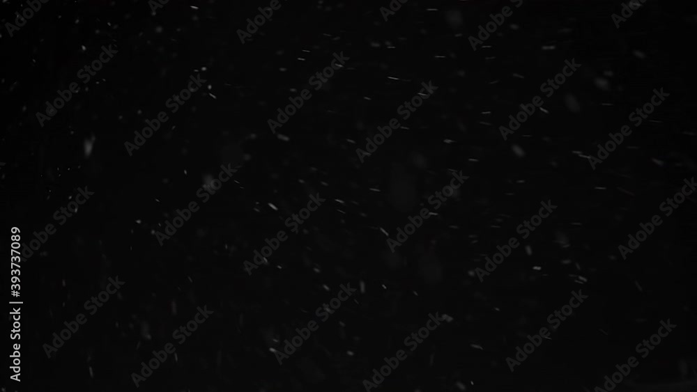 Real falling snow isolated on black background for composing, snowflakes bokeh falling during in snowstorm, snowing footage. Winter background. 4K video, winter, selective focus, blur Real falling snow isolated on black background for composing, snowflakes bokeh falling during in snowstorm, snowing footage. Winter background. 4K video, winter, selective focus, blur