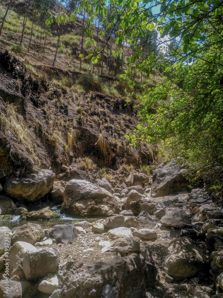 River with shallow waters surrounded by bushes and plants River with shallow waters surrounded by bushes and plants