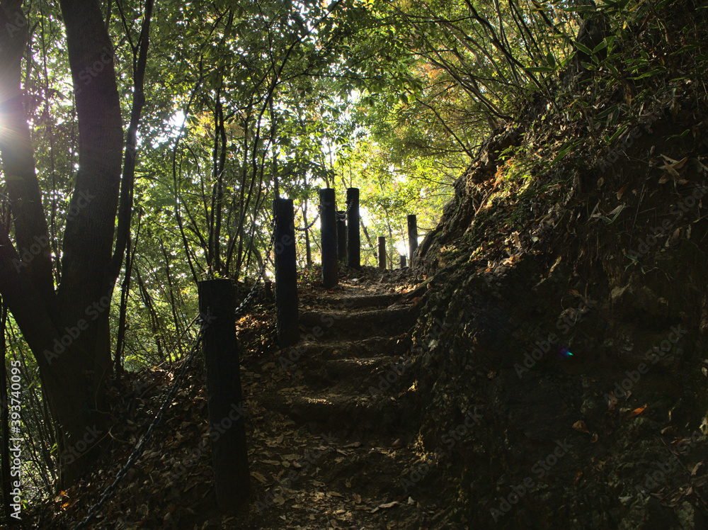 山道 山道