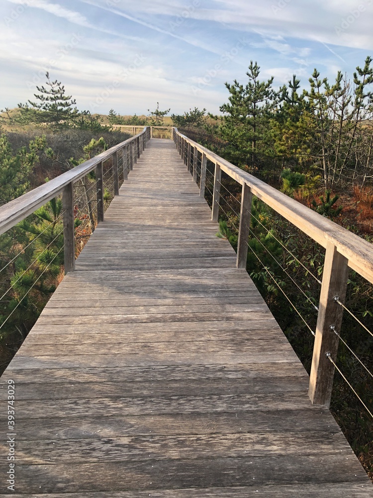 wooden pathway to the ocean