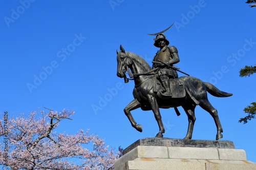 桜と伊達政宗騎馬像 Stock Photo | Adobe Stock