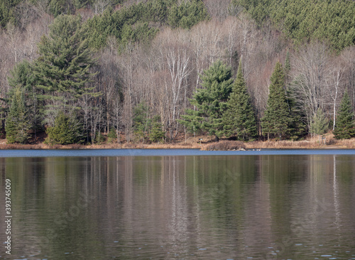 November landscape  with water in Arrowhead Park Ontario photo