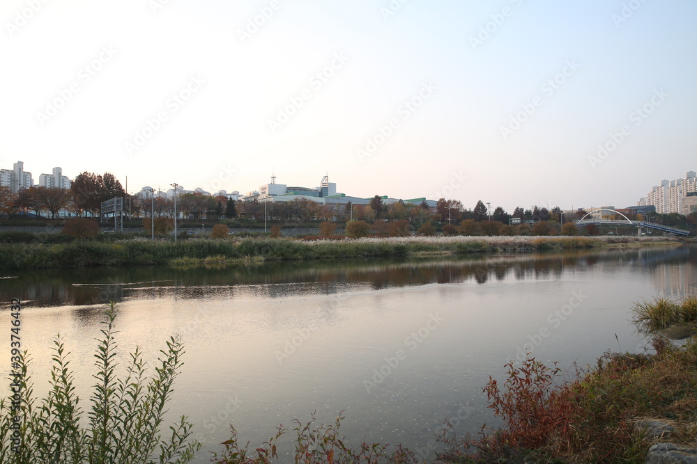 Fototapeta premium view of the river