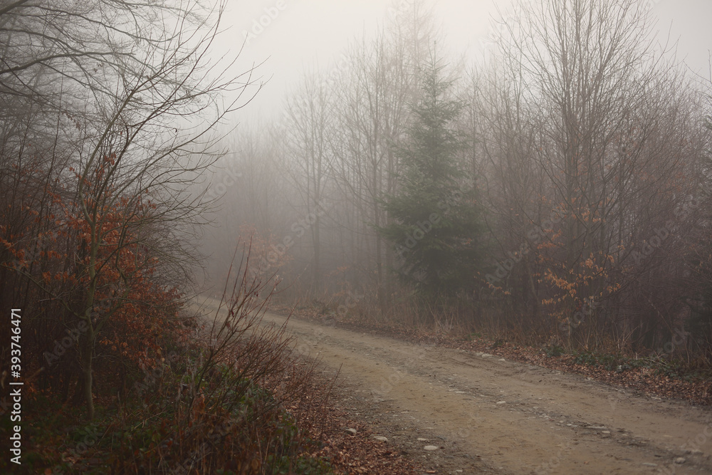 Panoramic view of the foggy autumn forest in the mountains. Panoramic view of the foggy autumn forest in the mountains.