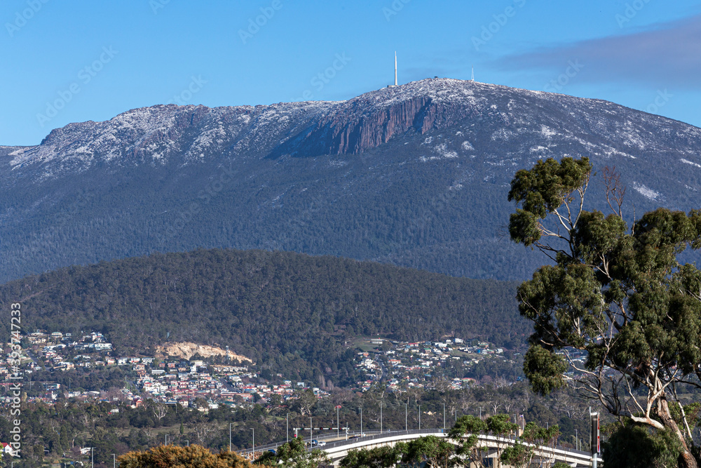 View of Mount Wellington Hobart and the Tasman Bridge, with some trees in the foreground, Hobart, Tasmania, Australia