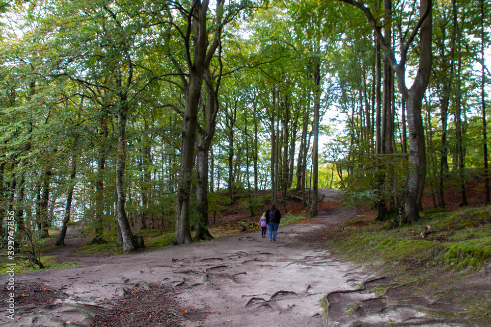 Spaziergang im Küstenwald auf der Insel Rügen Spaziergang im Küstenwald auf der Insel Rügen