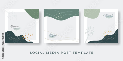 Social media stories and post creative Vector set. Background template with copy space for text and images design by abstract colored shapes, line arts , Tropical leaves warm color of the earth tone