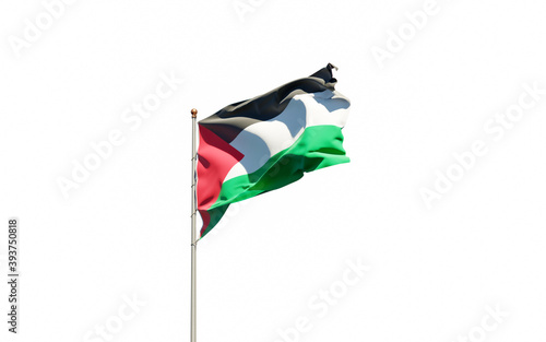 National state flag of Palestine fluttering at sky background.