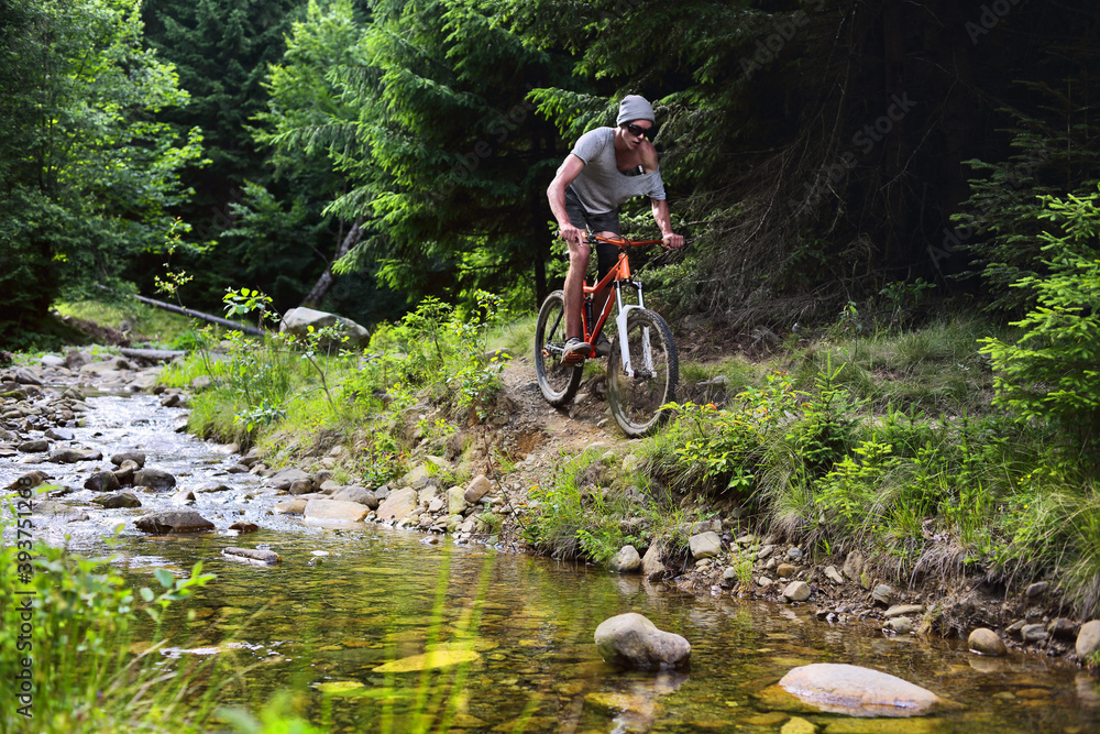 Naklejka premium Young male cyclist riding in the mountain forest against the background of mountain fir trees at sunset.