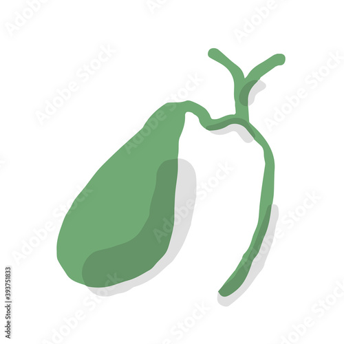 Human gallbladder; Hand drawn vector illustration like woodblock print