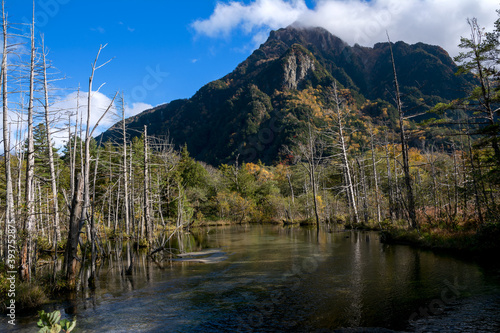 信州、長野県松本市、上高地の梓川越しの六百山、立ち枯れの木々。黄葉、紅葉。 photo