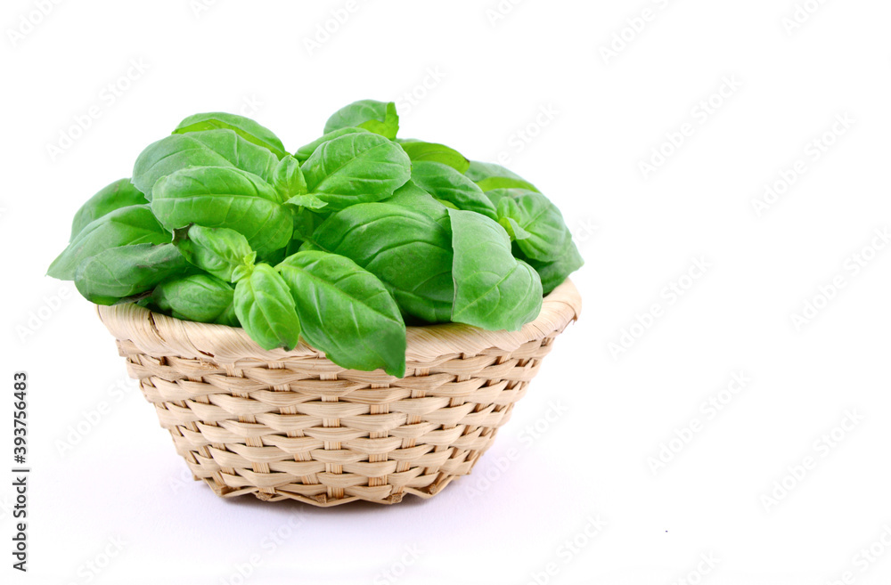 Fresh Sweet basil in basket with white background. Fresh Sweet basil in basket with white background.