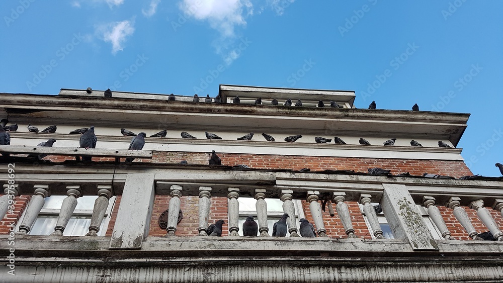 Obraz premium building