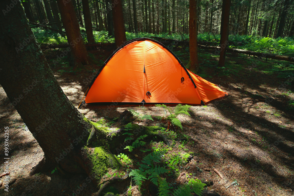 View of an orange tent in the summer in mountain forest.