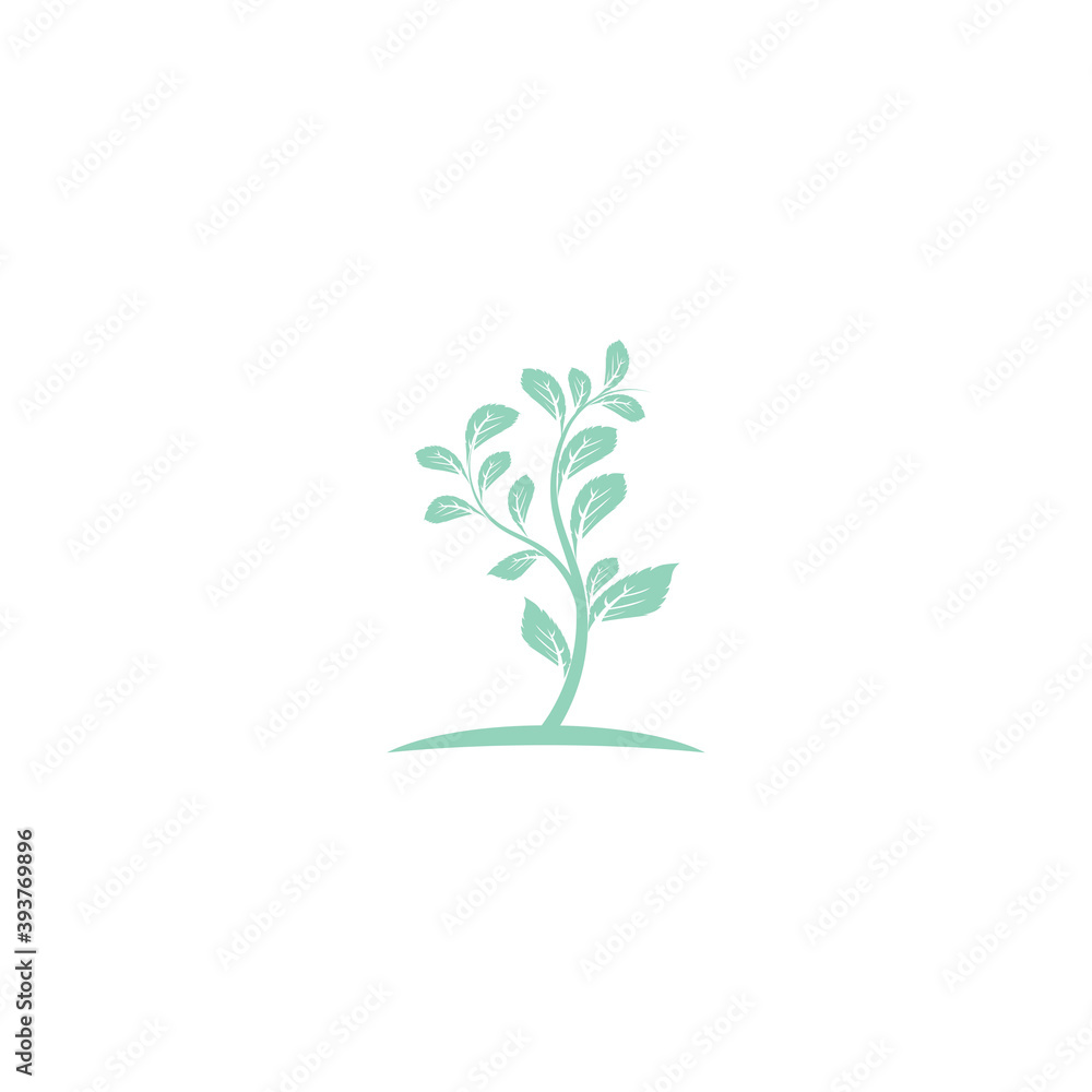 Fototapeta premium Leaf Mint Logo Template vector symbol