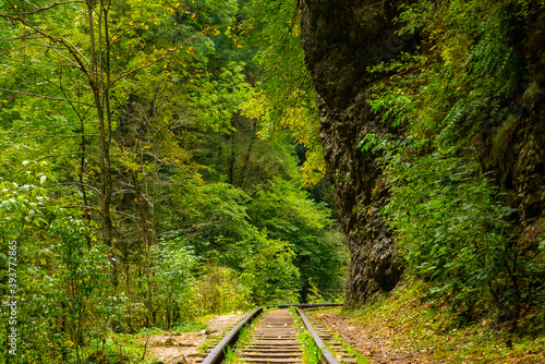 Old narrow gauge railway in mountain region.